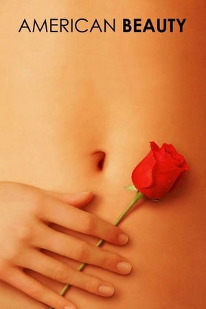 American Beauty (1999) Hindi Dual Audio 720p BluRay [900MB] - Movierulz